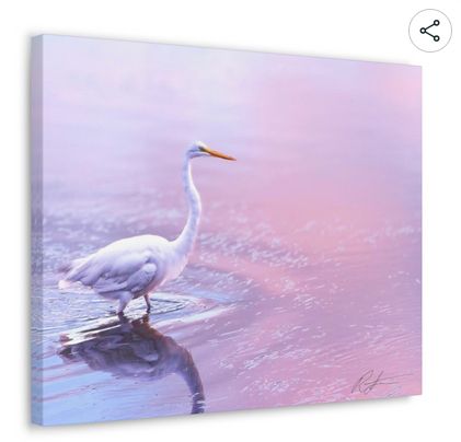 Great egret in the dawn's early light photographed by Ron Stoecklein