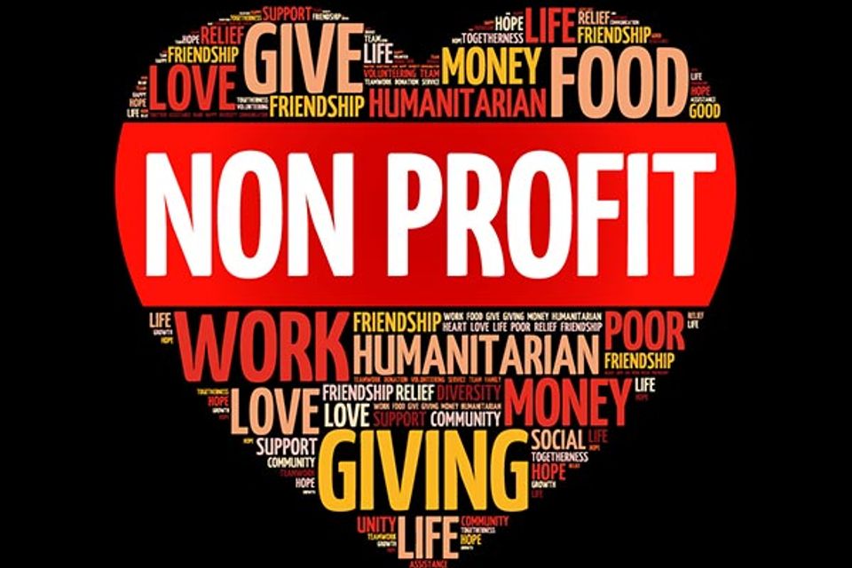Veduffe non profit logo