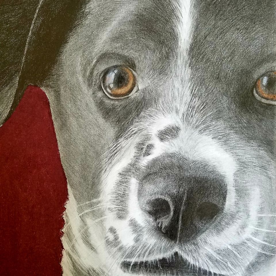 Florentina - Charcoal (11"x14")