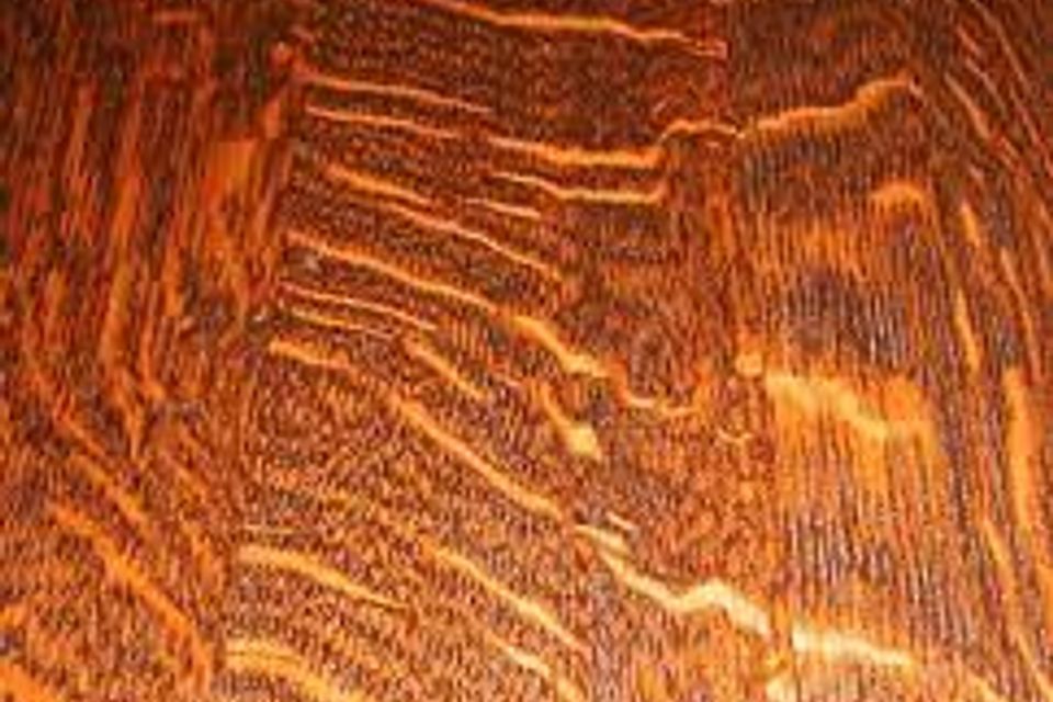 Quarrter sawn oak