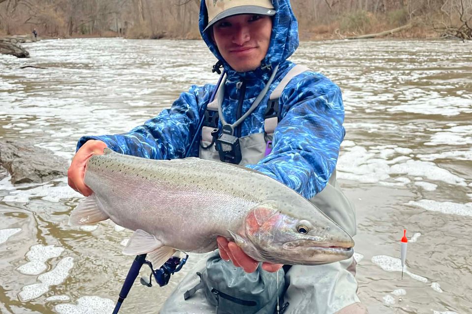 Steelhead