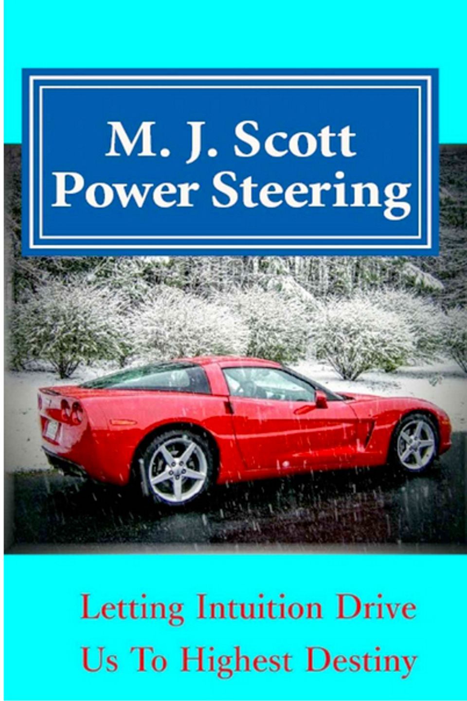Power steering mj scott20160703 17540 1lni0oe