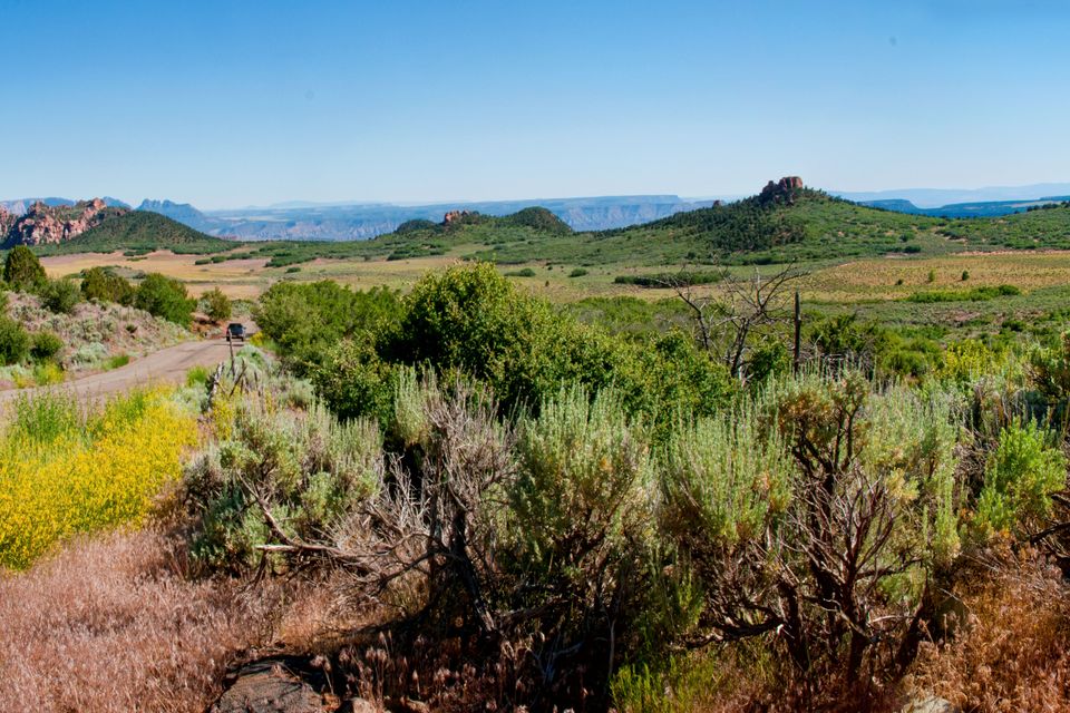 Kolob road 2