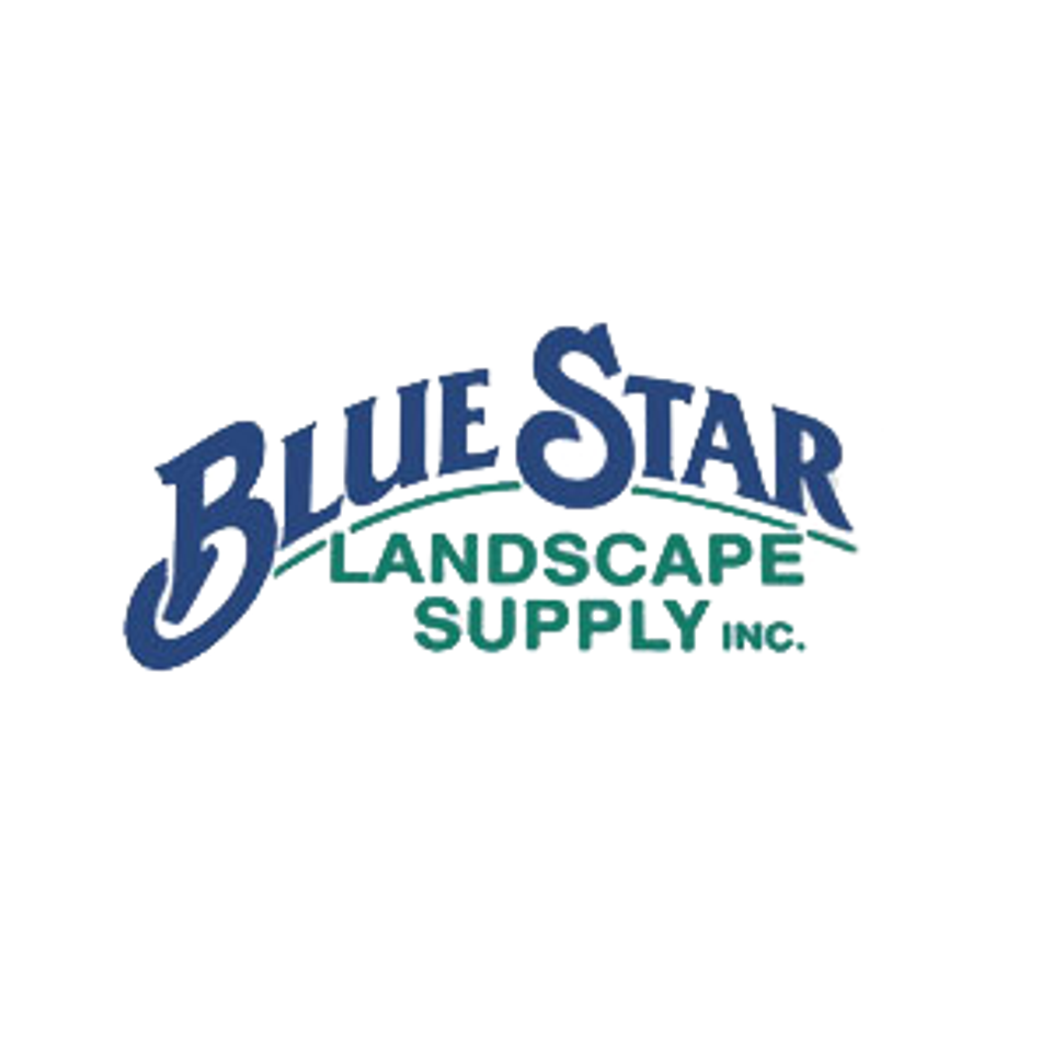 Bluestar