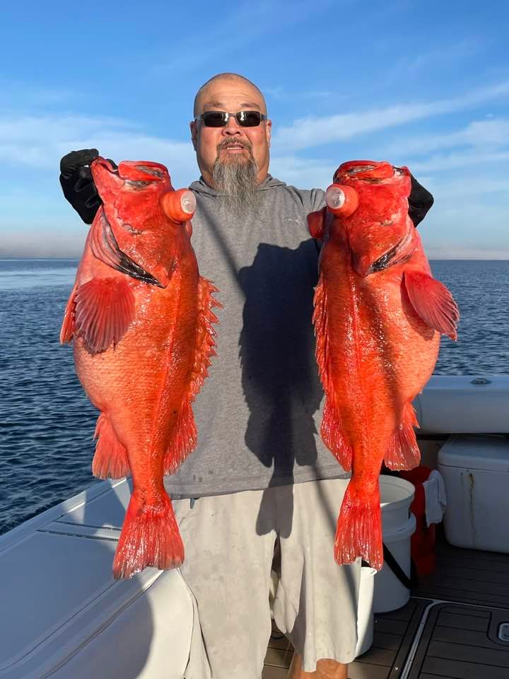 402596051 10231876961457725 375984128362943479 n