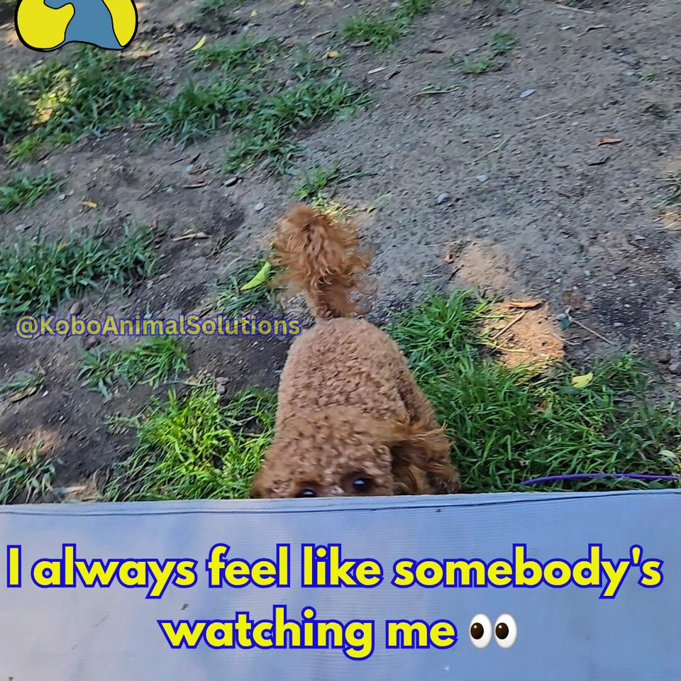 Add a heading 20250826 155341 0000 2