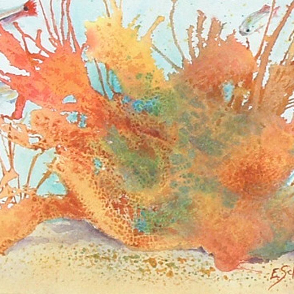 Saltwater aquarium