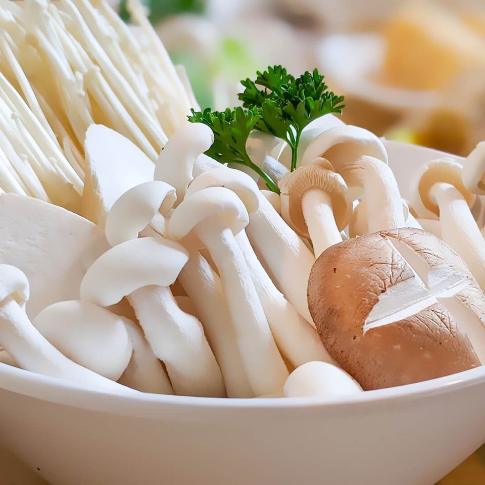 Shabu zen tyler st close up 16