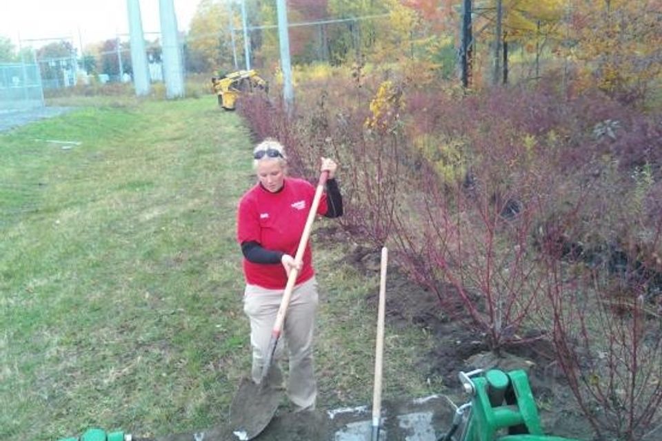 Dte energy project macomb 6