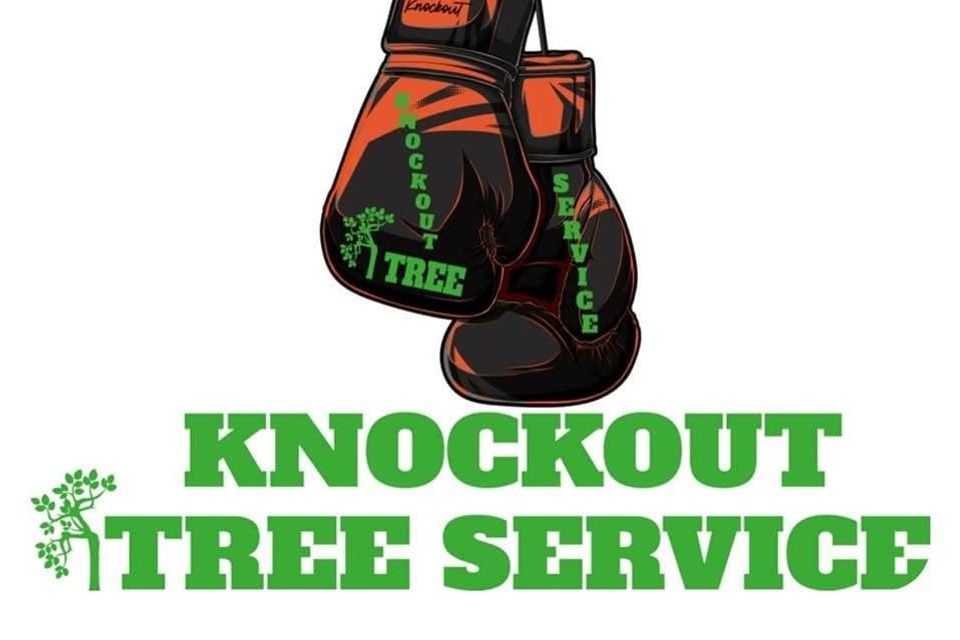 Logo2