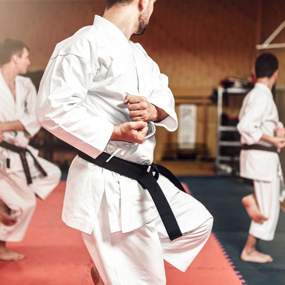 International Martial Arts