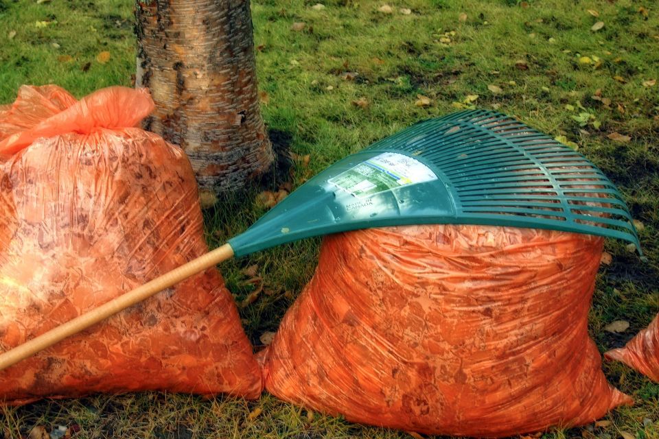 Autumn 54e1d74449 1920