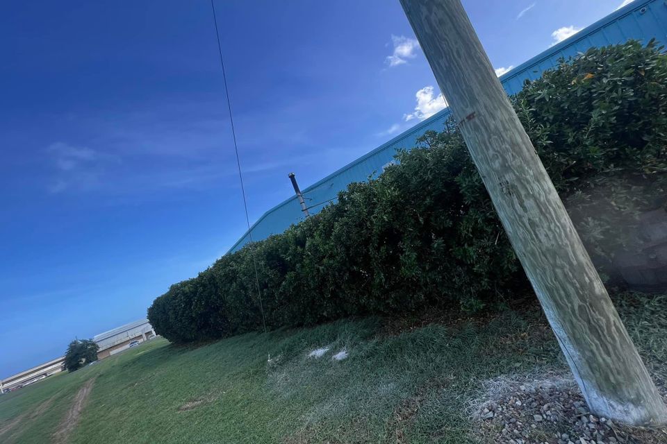 Img 0626
