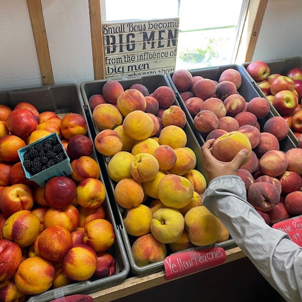 Ahvaweopge 4sd0st9hy5fihaznxxcxrdx47swvxc3 colog2avekq26wzaa7ic0e haeiggk0078wqbabgb0adklgmmjlkqiygkmglsdlrpxk5awsbt ibuoq0tvhpuxc2xhl pwfziwq s901 k no