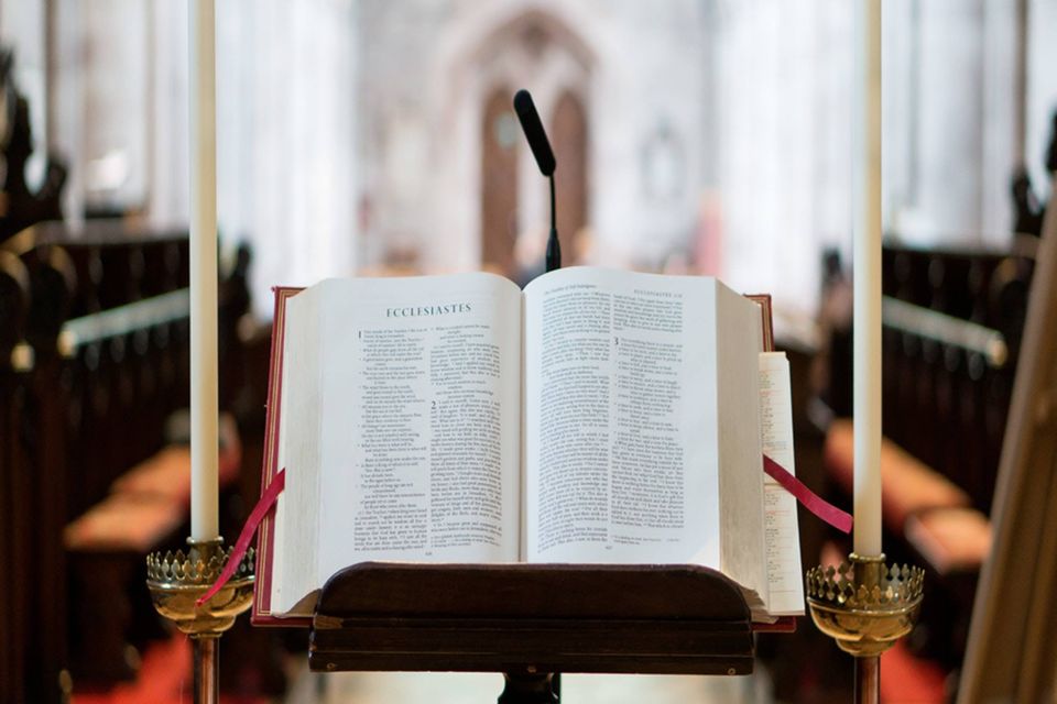 49897269 2283369981695331 7598713185838825472 n