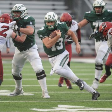 Gerbino run gt scaled