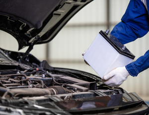 Untitled design (55)