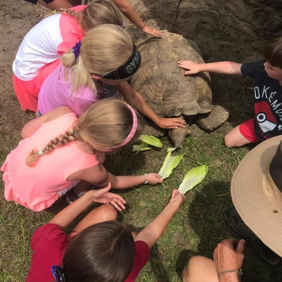 Tortise petting in florida