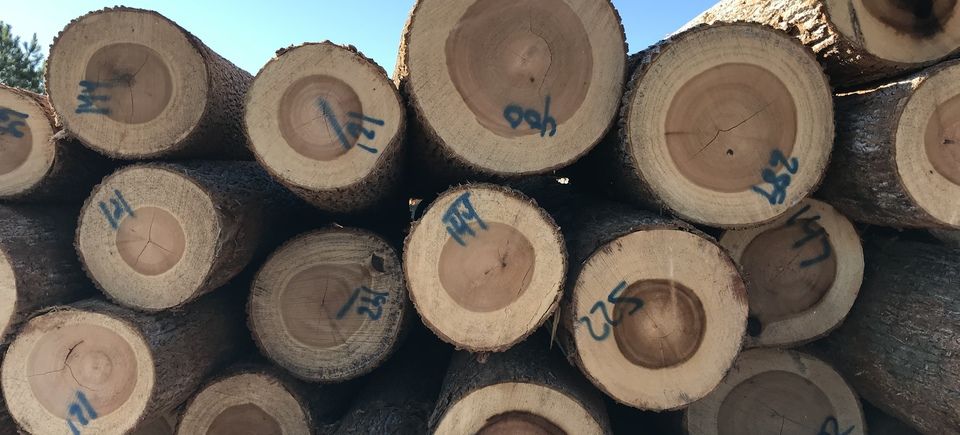 Cypress Lumber, Poplar Lumber, Red and White Oak, Soft Maple and Southern Yellow Pine, jerry g williams and sons, 