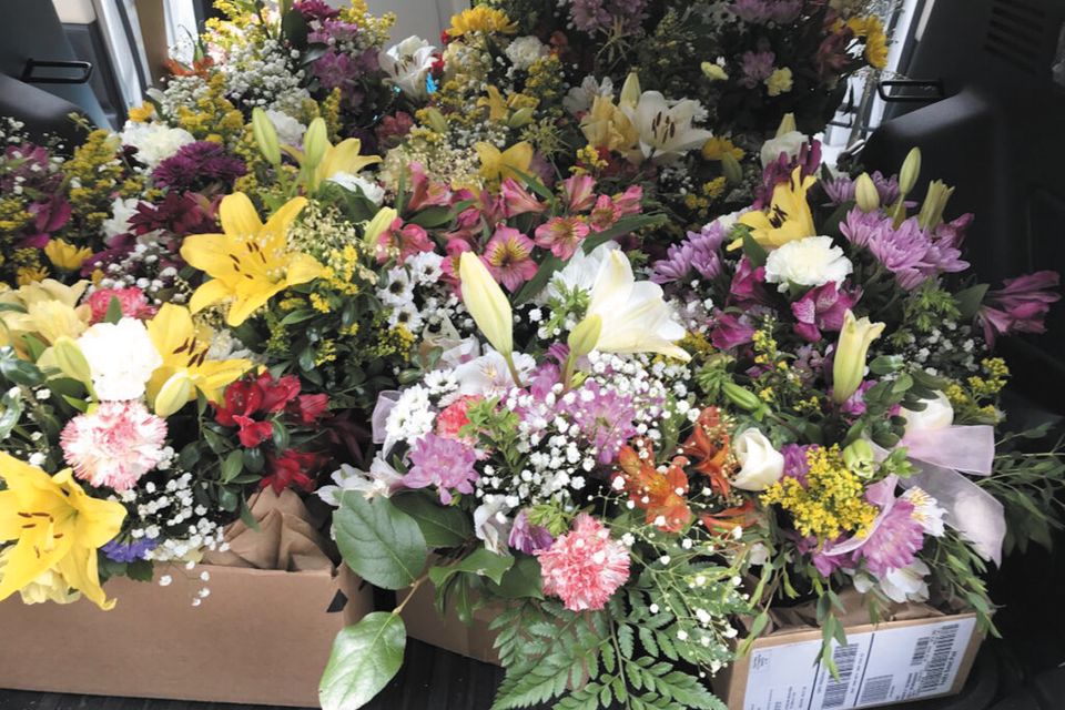Bedford garden club