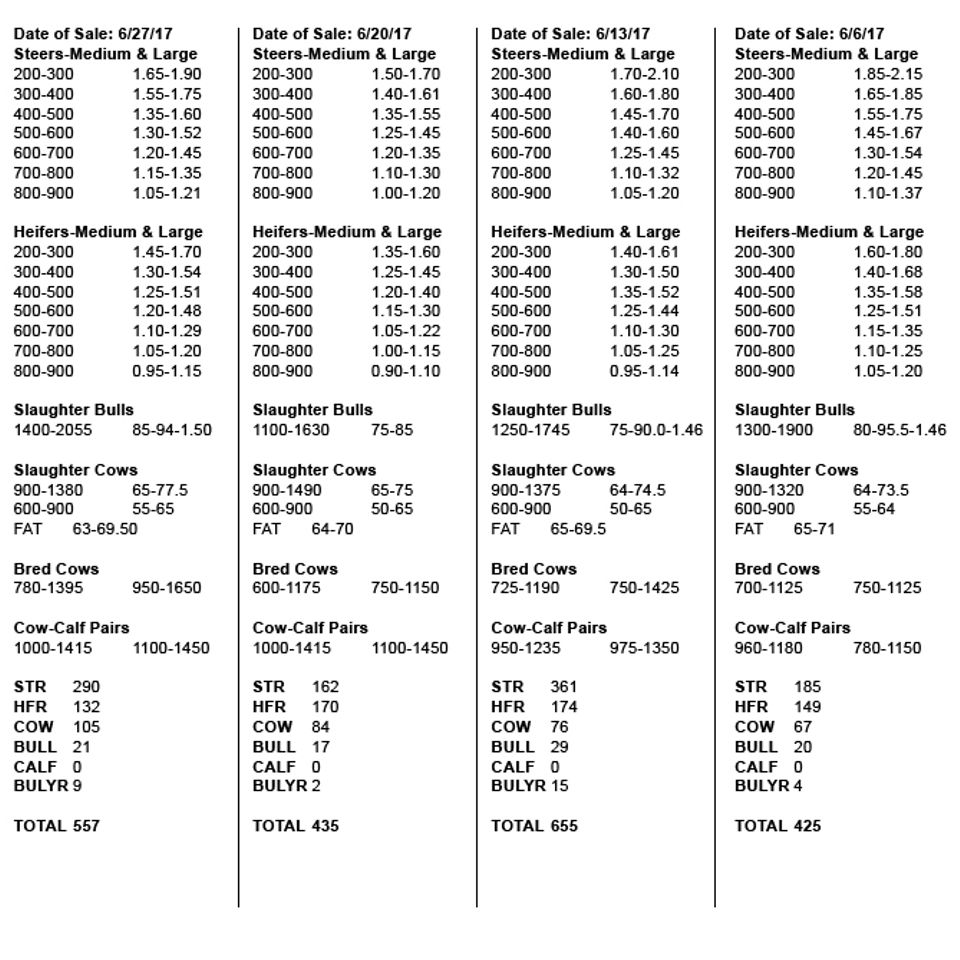 June sales20170802 1215 1x4nloa