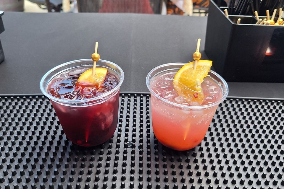 518346981 122229336206186797 28176948293934890 n