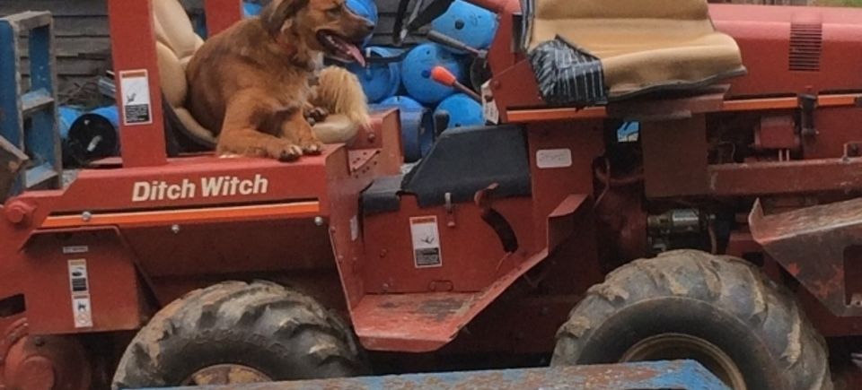 Willie on the ditcher (640x640)20180418 28205 12uf50p
