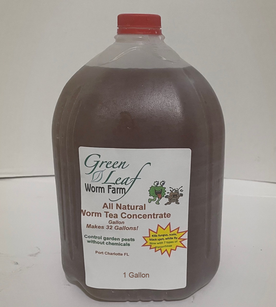 Gallon worm tea