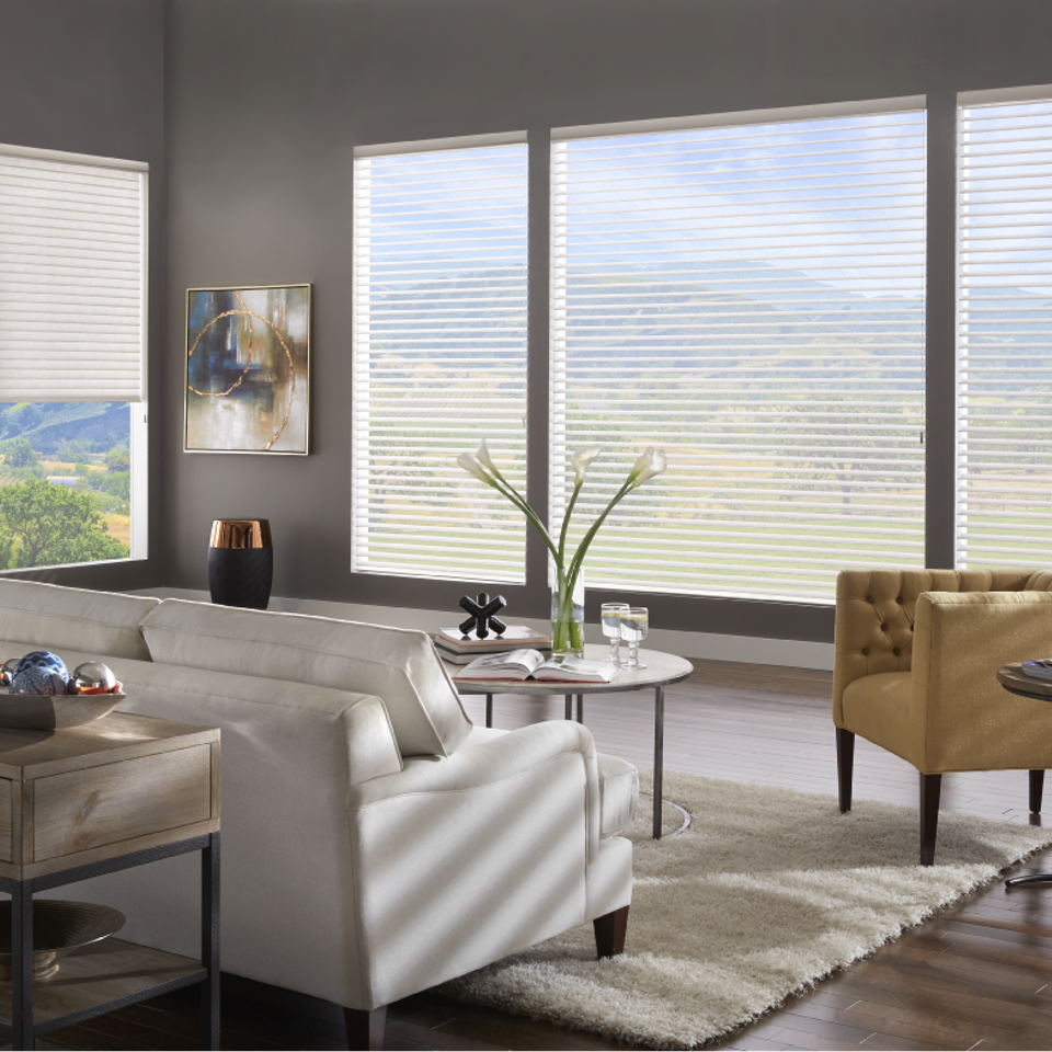 Picture window shades for your home in boise ID