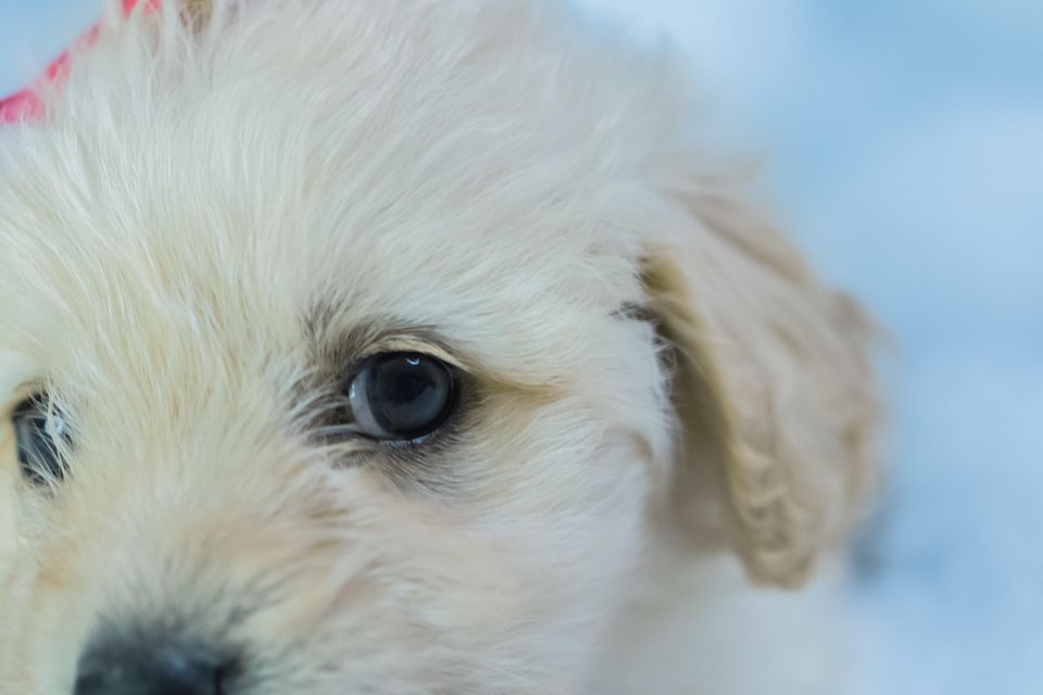 Fausto sandoval ny 07siirj4 unsplash