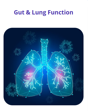 Screenshot 2026 02 22 173958