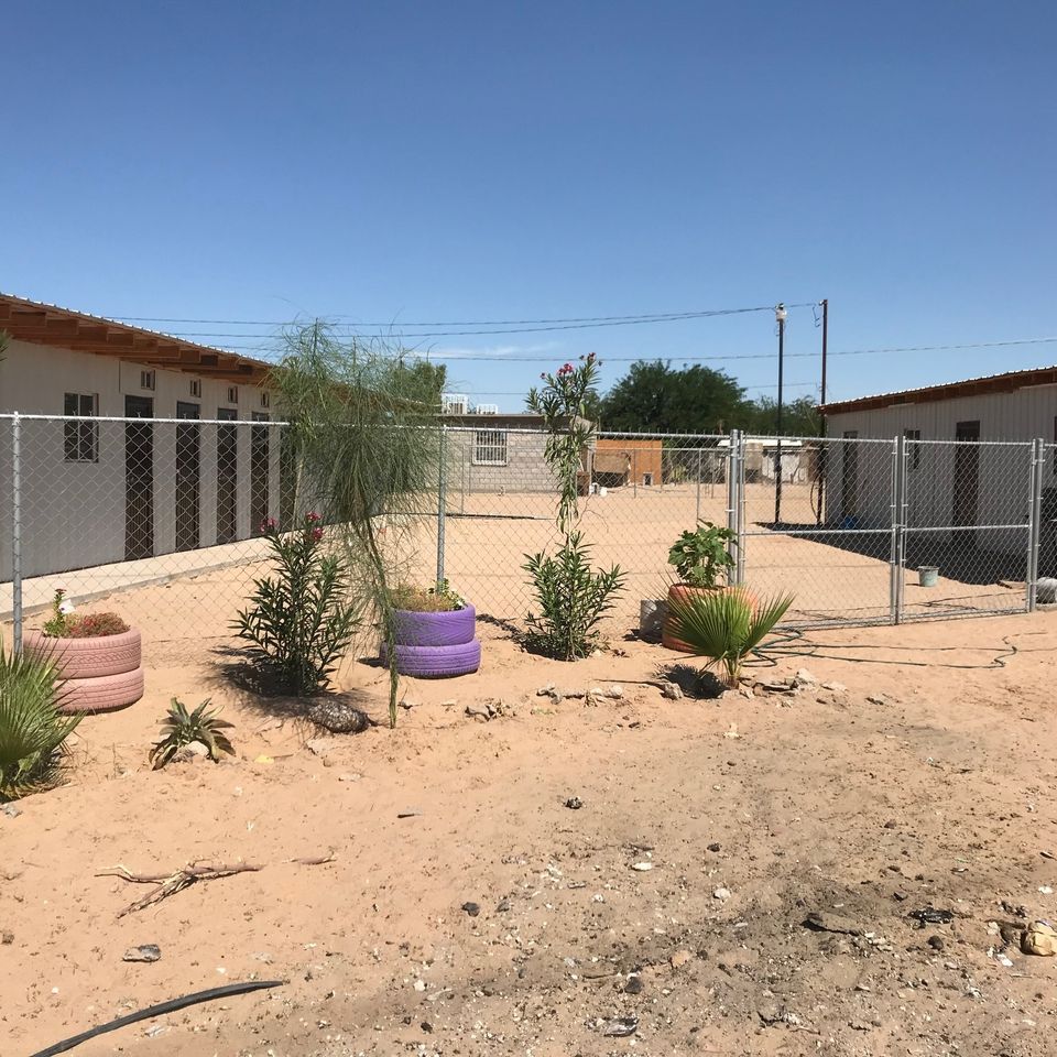 Img 0652