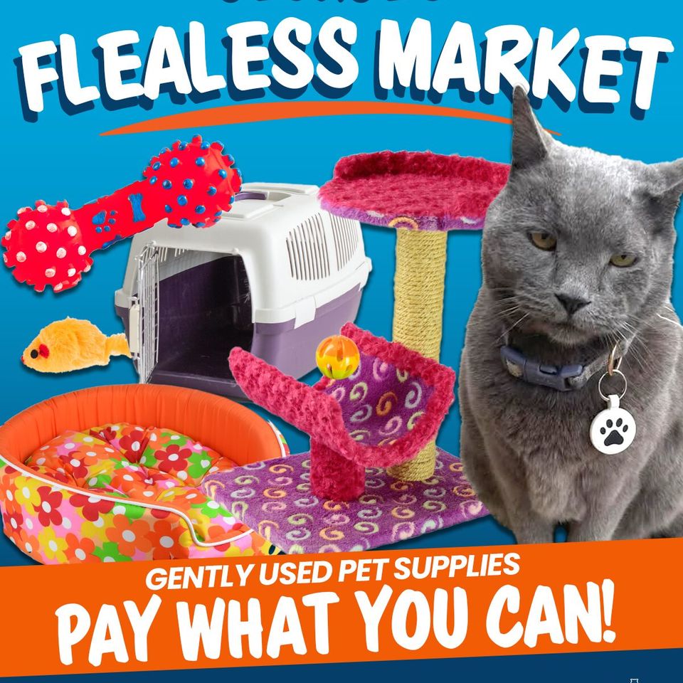 Georges flealessmarket 053125