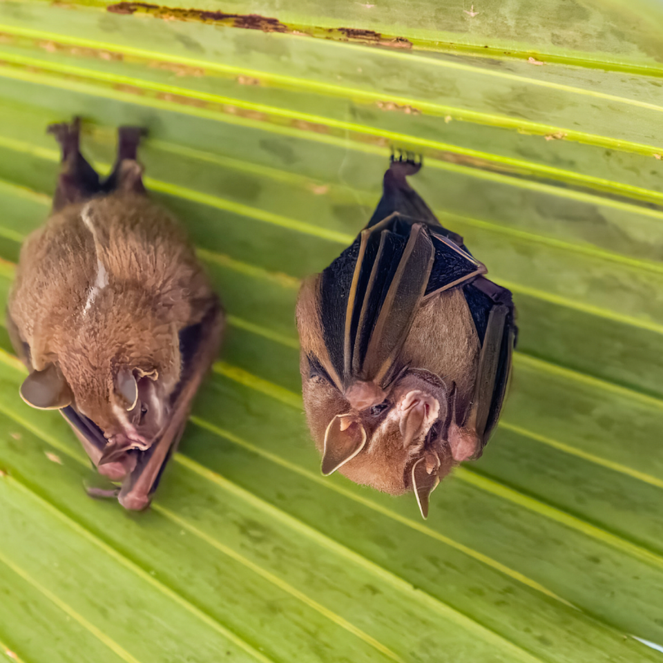 Screen shot 2026 03 03 at 2.04.08 pm