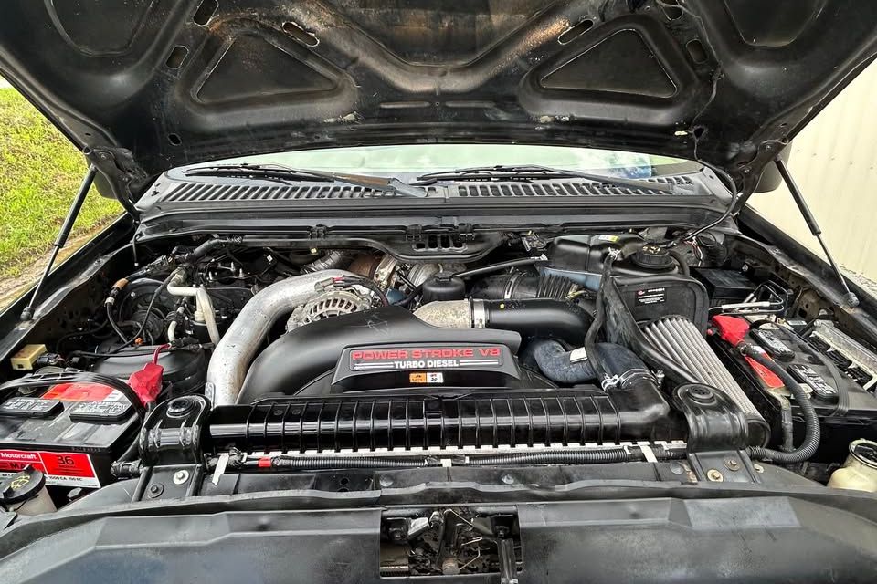 505882869 24419084324360820 4127353829507787253 n