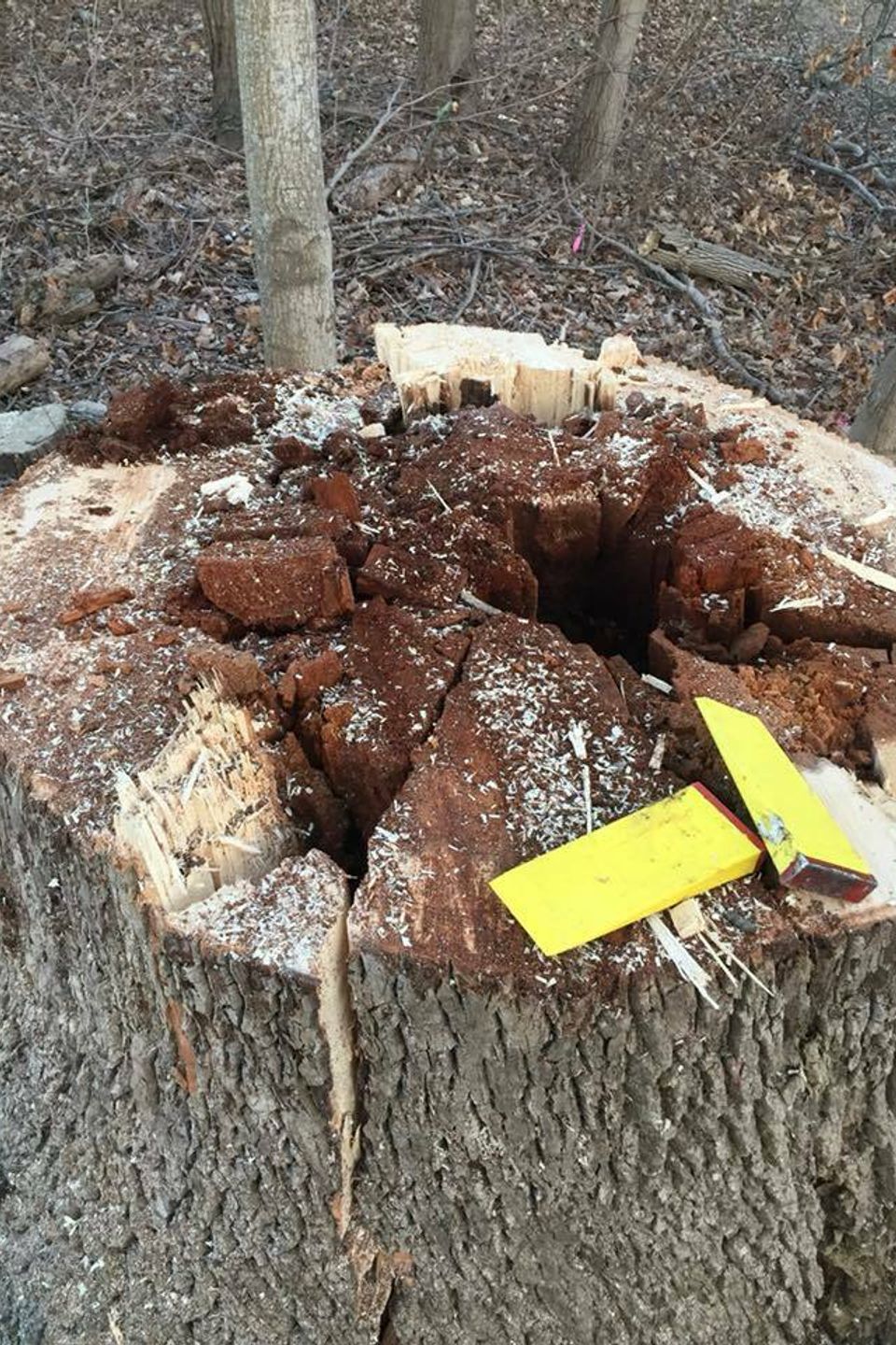 50751118 2081401815273946 2223948947930480640 n