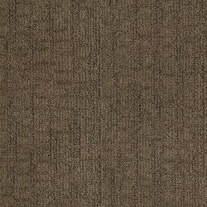 Bb004 dark truffle