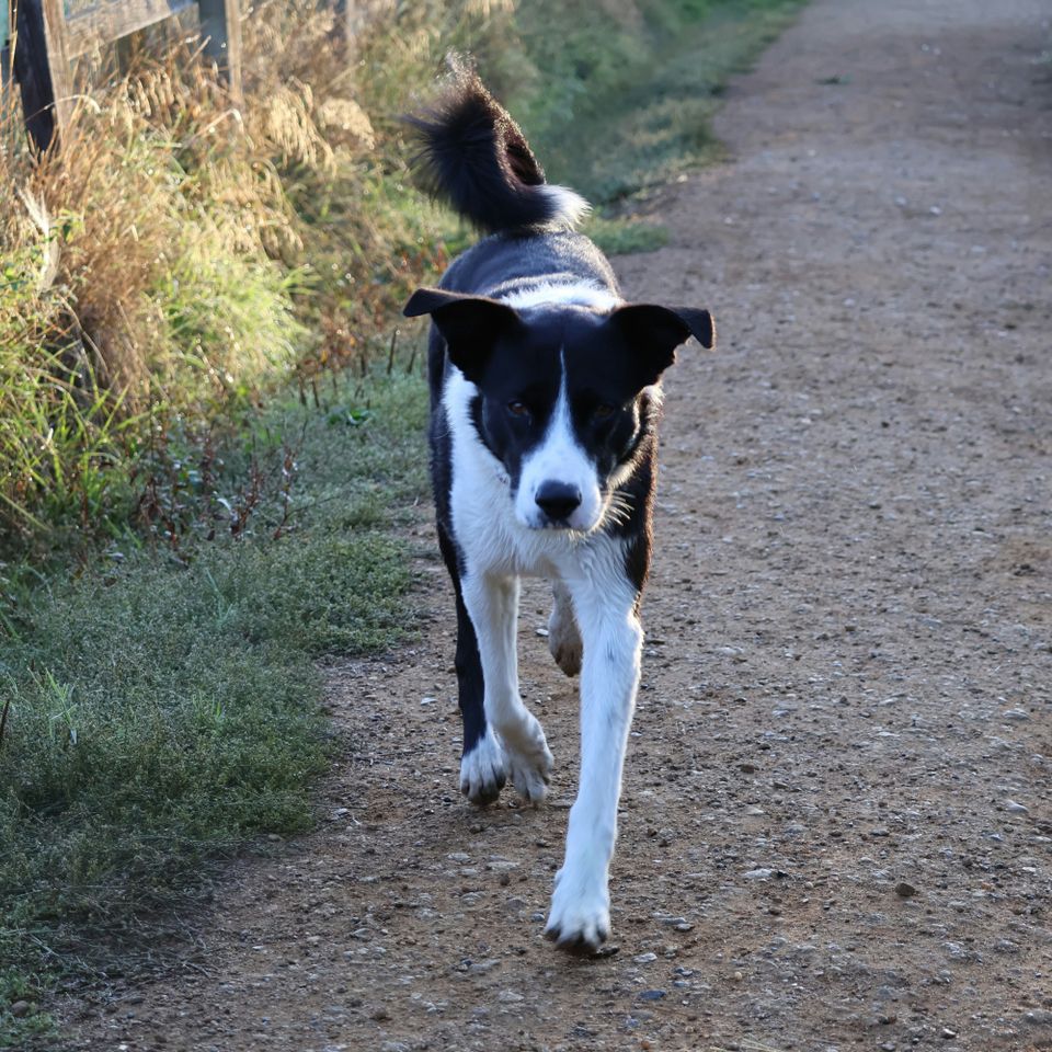 Photo 1761863189548 2c9df54c9812