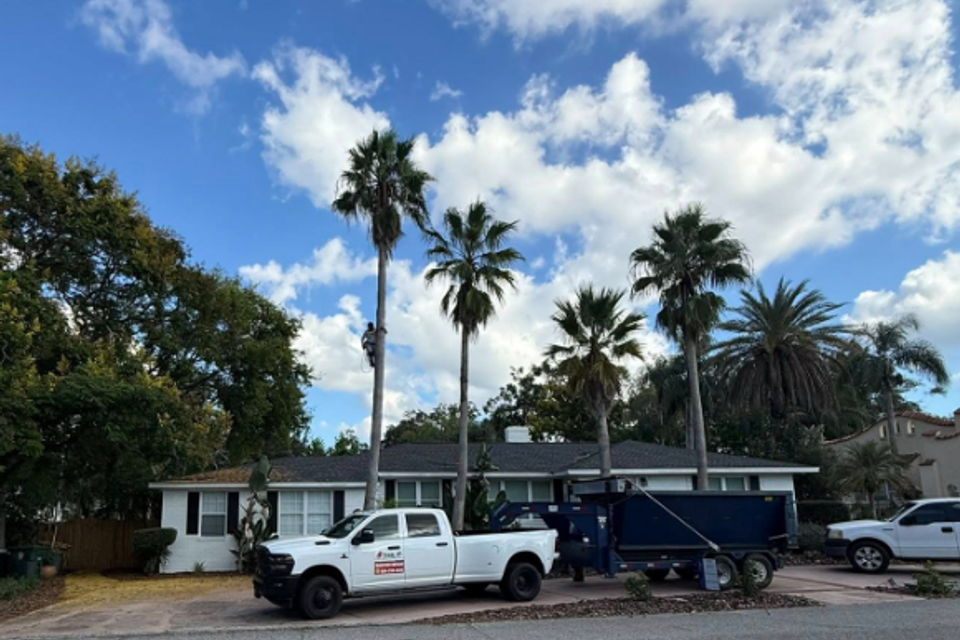 Screenshot 2025 10 20 081047