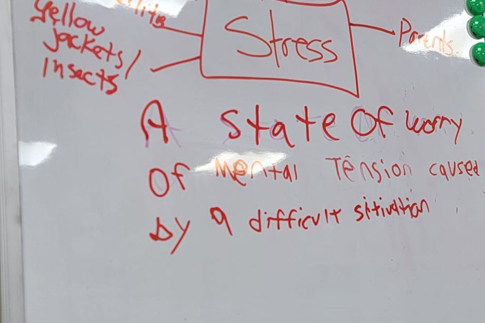 480400906 692991396423686 3155831214658731865 n