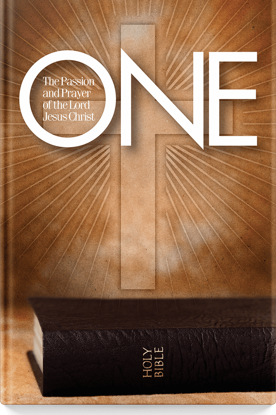 One top 01