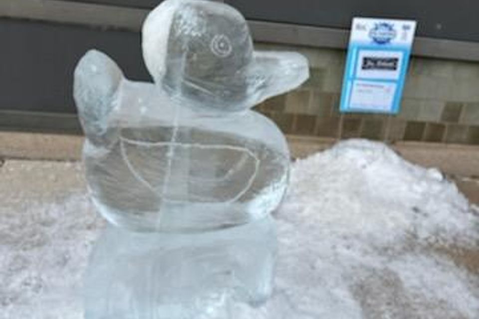 Ice carving 2026 34