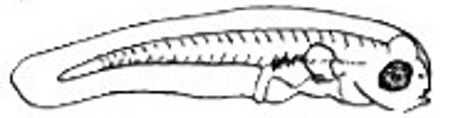 Screenshot 2025 10 15 141037