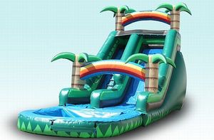 Tropical water slide inflatable party rental20161108 8071 1kelzcn