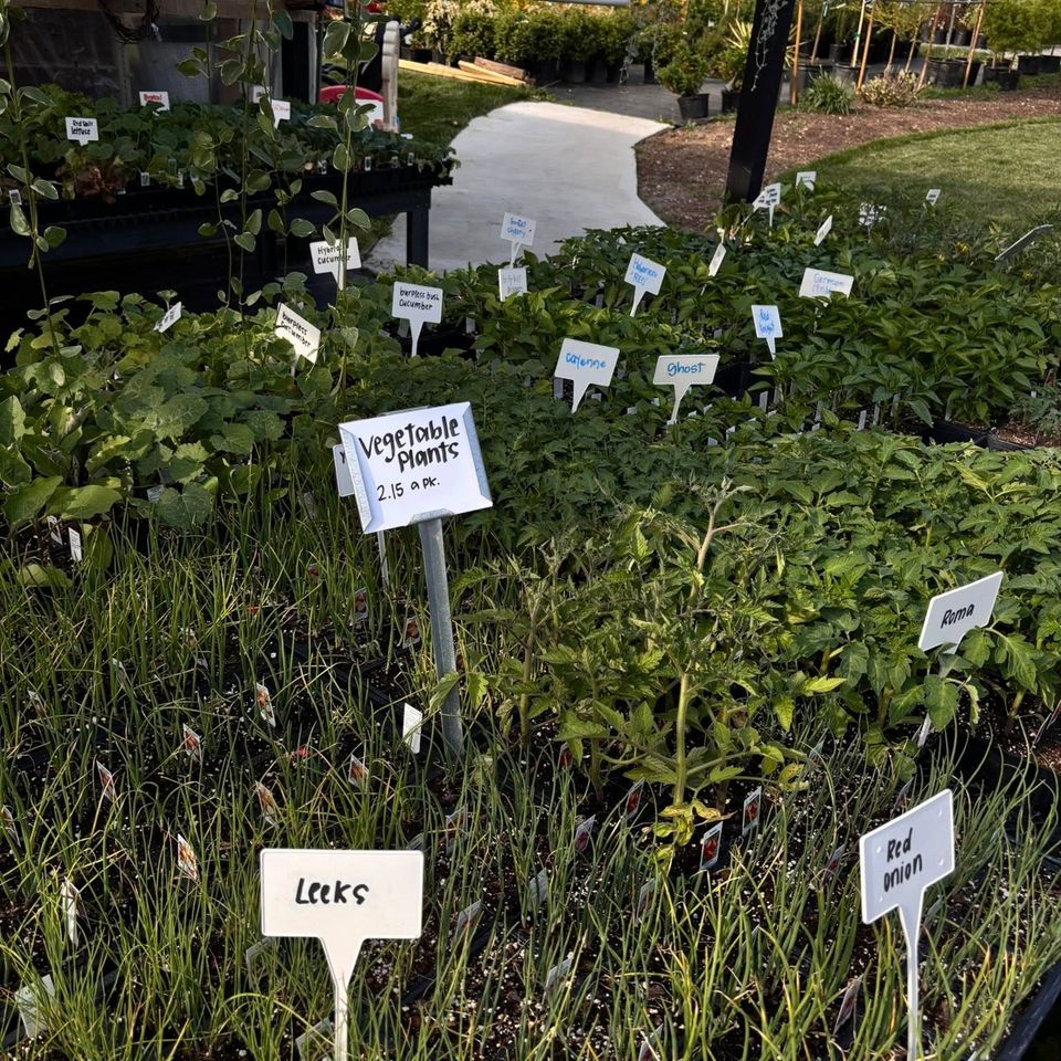 vegetables and herbs at Maytown Gardens Creekside Gardens