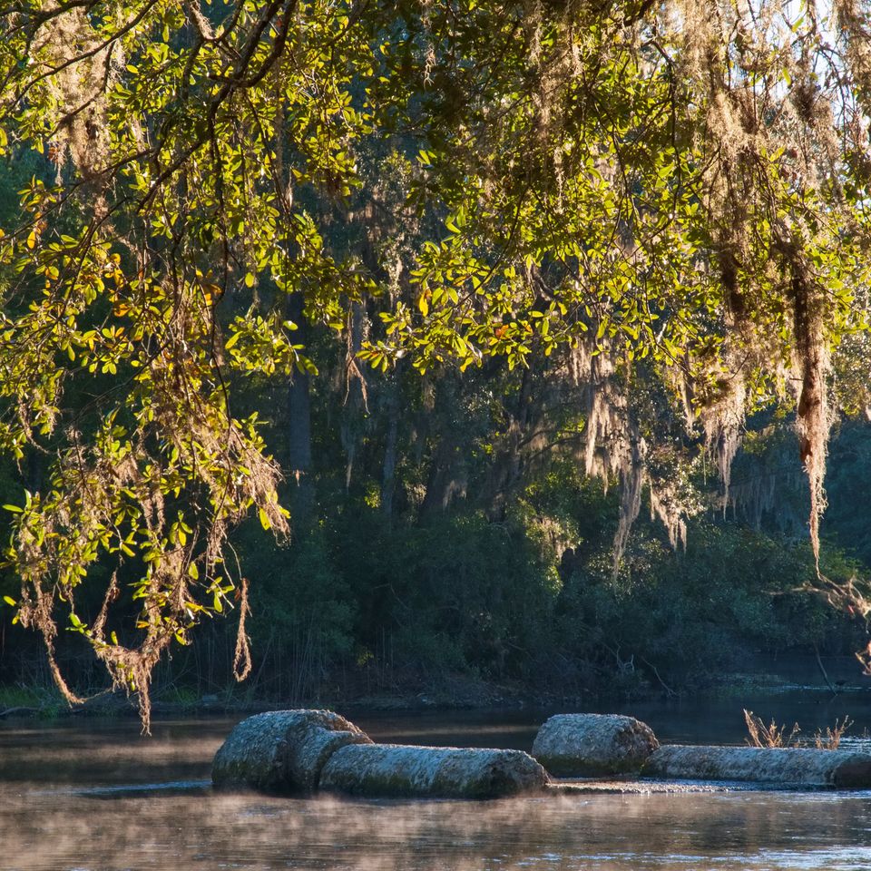 Hornsby spring rum island 26 edit