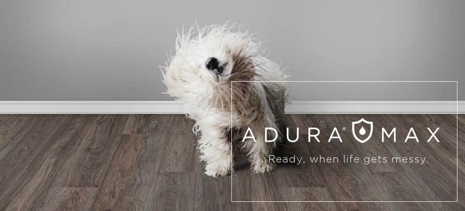Adura max dog w logo 220180316 32089 kmecbq