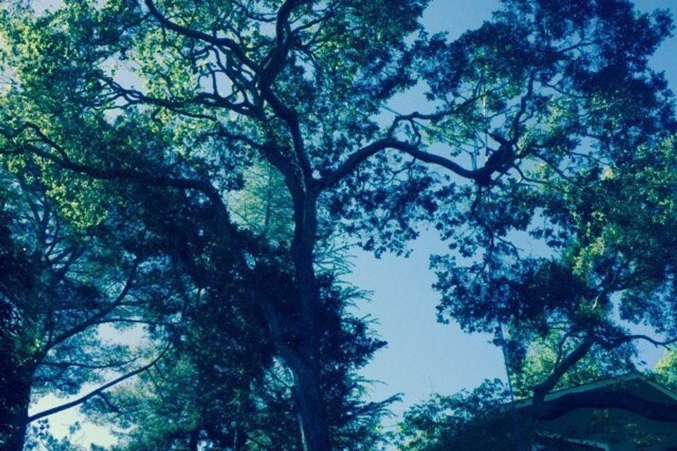 3113bd12fb3952a77230b33a8b6c216b20180306 20439 19b1zb1