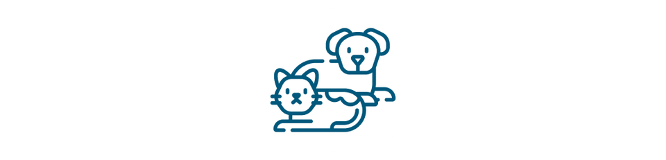 Cat dog