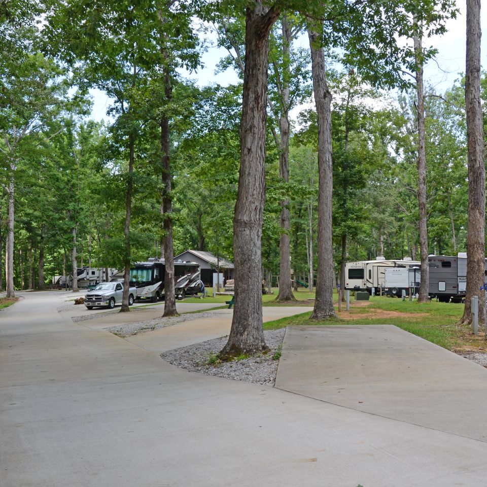 The forest at tims ford 40
